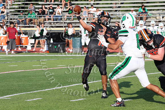 SVL_fb_028