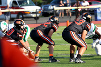 SVL_fb_017