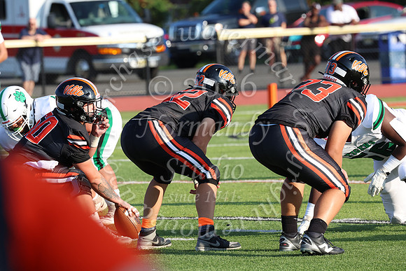 SVL_fb_017