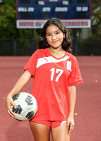 DHS_so_jv_ind_-1
