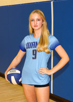 WAM_vb-g-a-ind_02