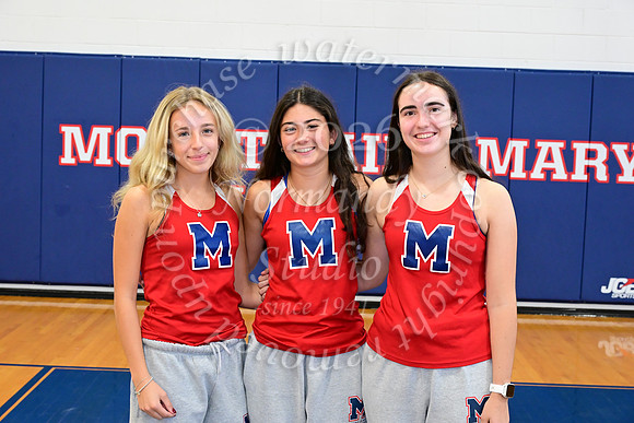 MSM_cc-t_08