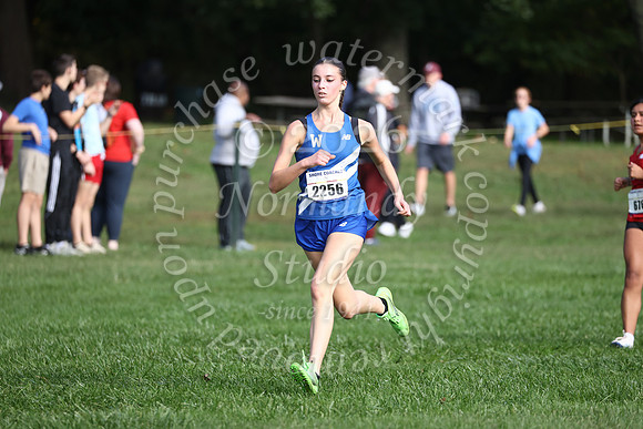 WHS_cc_g_15