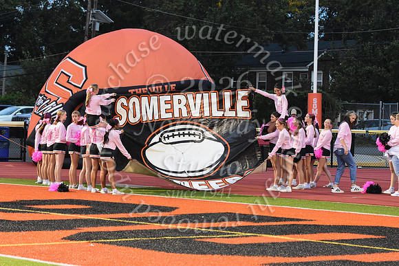 SVL_fb_01