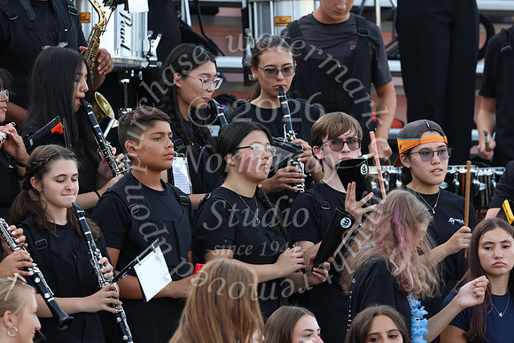 SVL_mb_in_stands_41