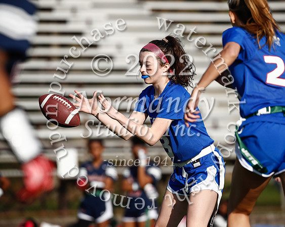 WHS_flag_fb_33