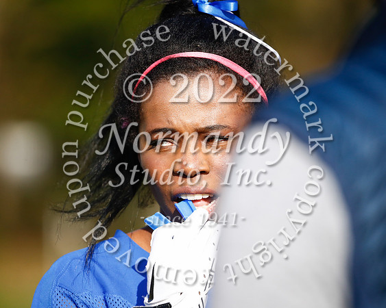 WHS_flag_fb_56