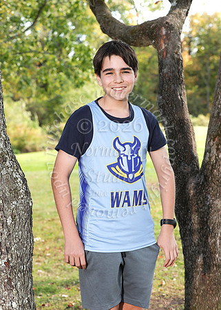 WAM_cc_b_ind-7