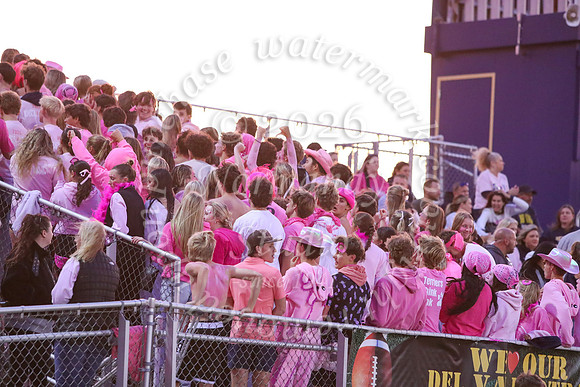 DVH_fans_30