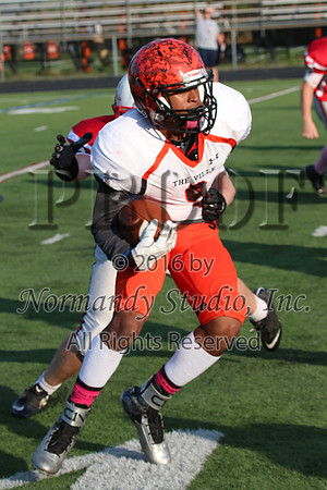 SVL_fb-j_059