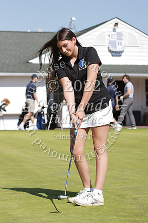 WHS_go-g_29