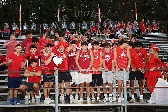 MNP_fb-fans_34