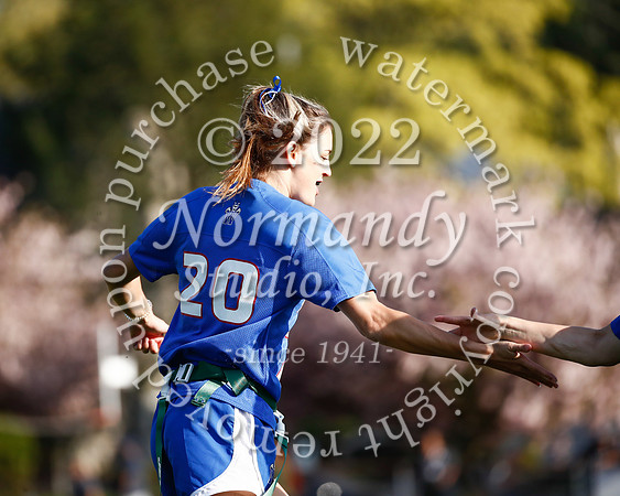 WHS_flag_fb_44