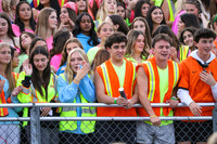 HCH_fans_11