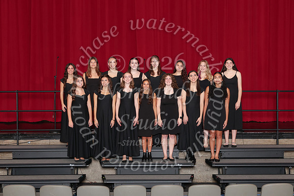 CHS_gala_groups_23