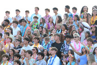 SVL_fb_fans_14