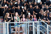 SVL_mb_in_stands_11
