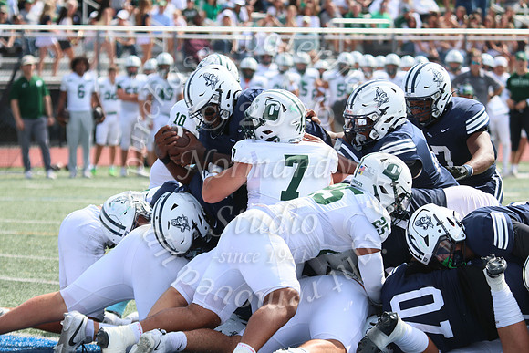 SHP_fb-v_38