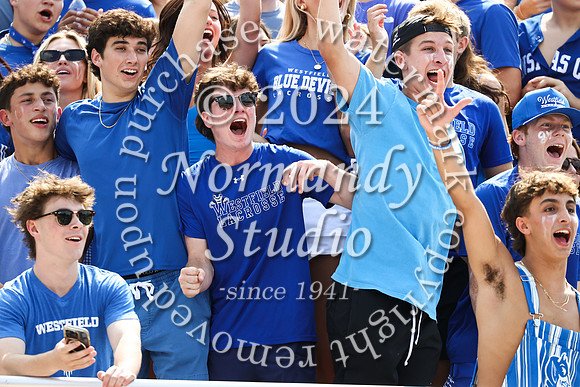 WHS_fans_30