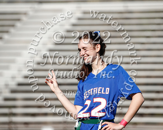 WHS_flag_fb_9