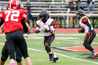 SVL_fb-f_11