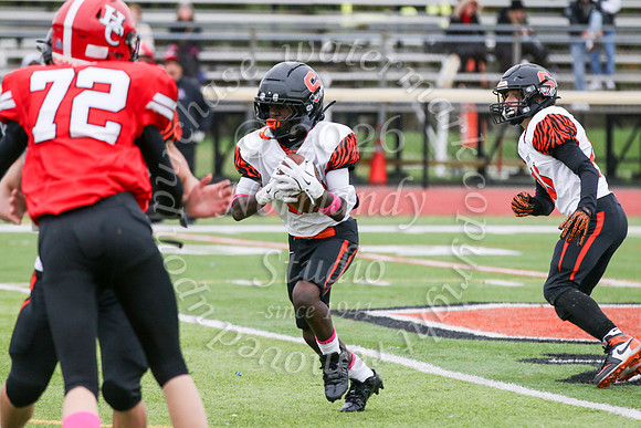 SVL_fb-f_11
