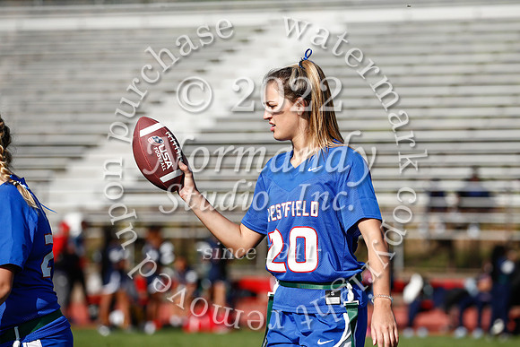 WHS_flag_fb_12
