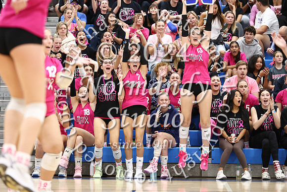 WHS_vb-pink out_31