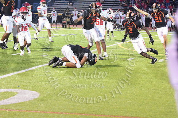 SVL_fb_54