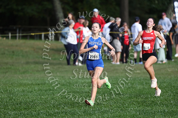WHS_cc_g_11