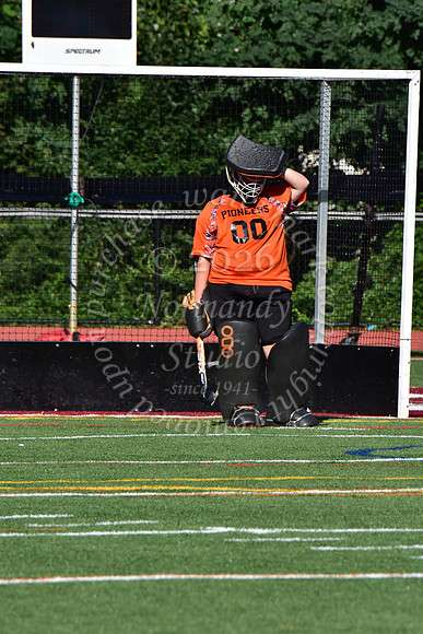 SVL_fh_30