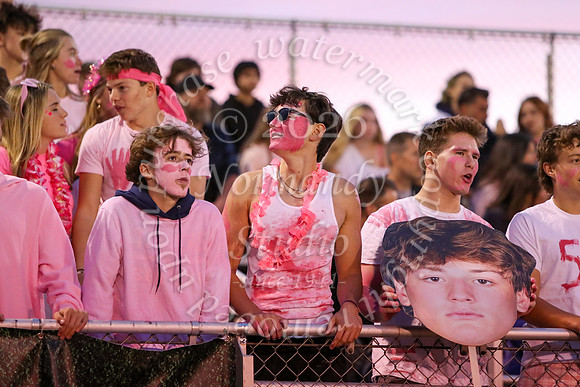 DVH_fans_11