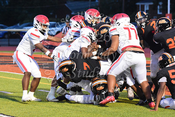 SVL_fb_35