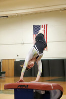 TIM_2208