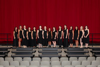 CHS_gala_groups_20