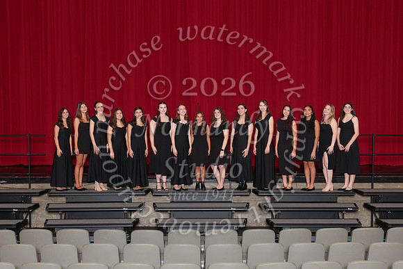 CHS_gala_groups_20
