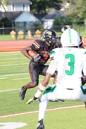 SVL_fb_009
