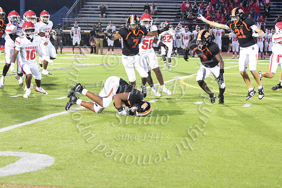 SVL_fb_53