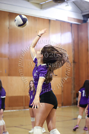 TOT_vb_g_-36