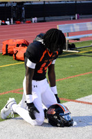 SVL_fb_15