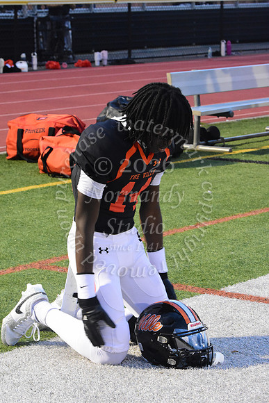 SVL_fb_15
