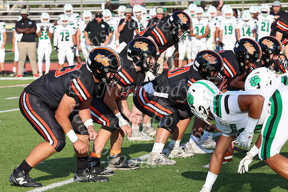 SVL_fb_023