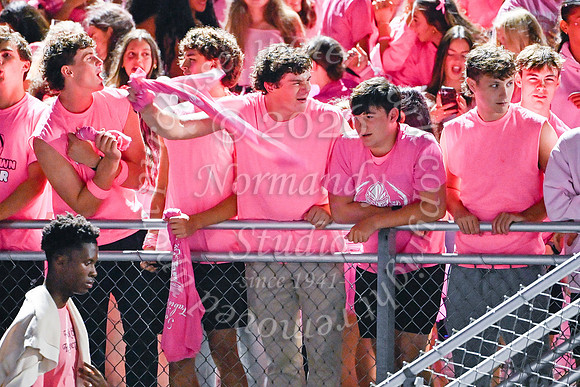 SPF_fans_11