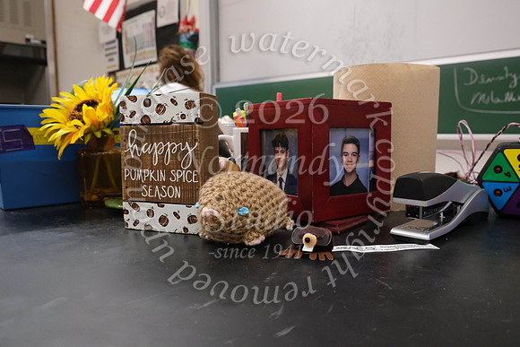 WHS_mole day_05