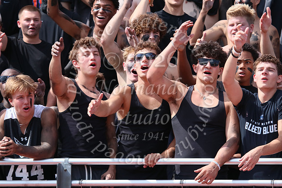 SHP_fans_18