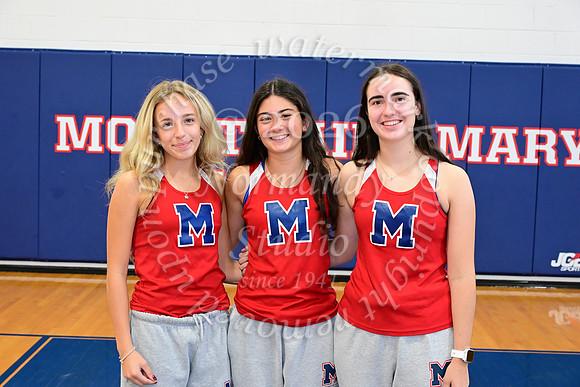 MSM_cc-t_09