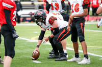 SVL_fb-f_13
