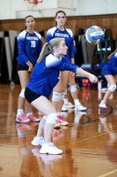 WHS_vb_g_-16