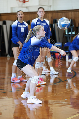WHS_vb_g_-16