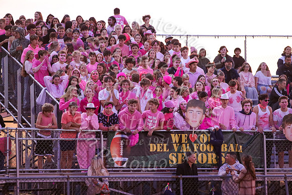 DVH_fans_31